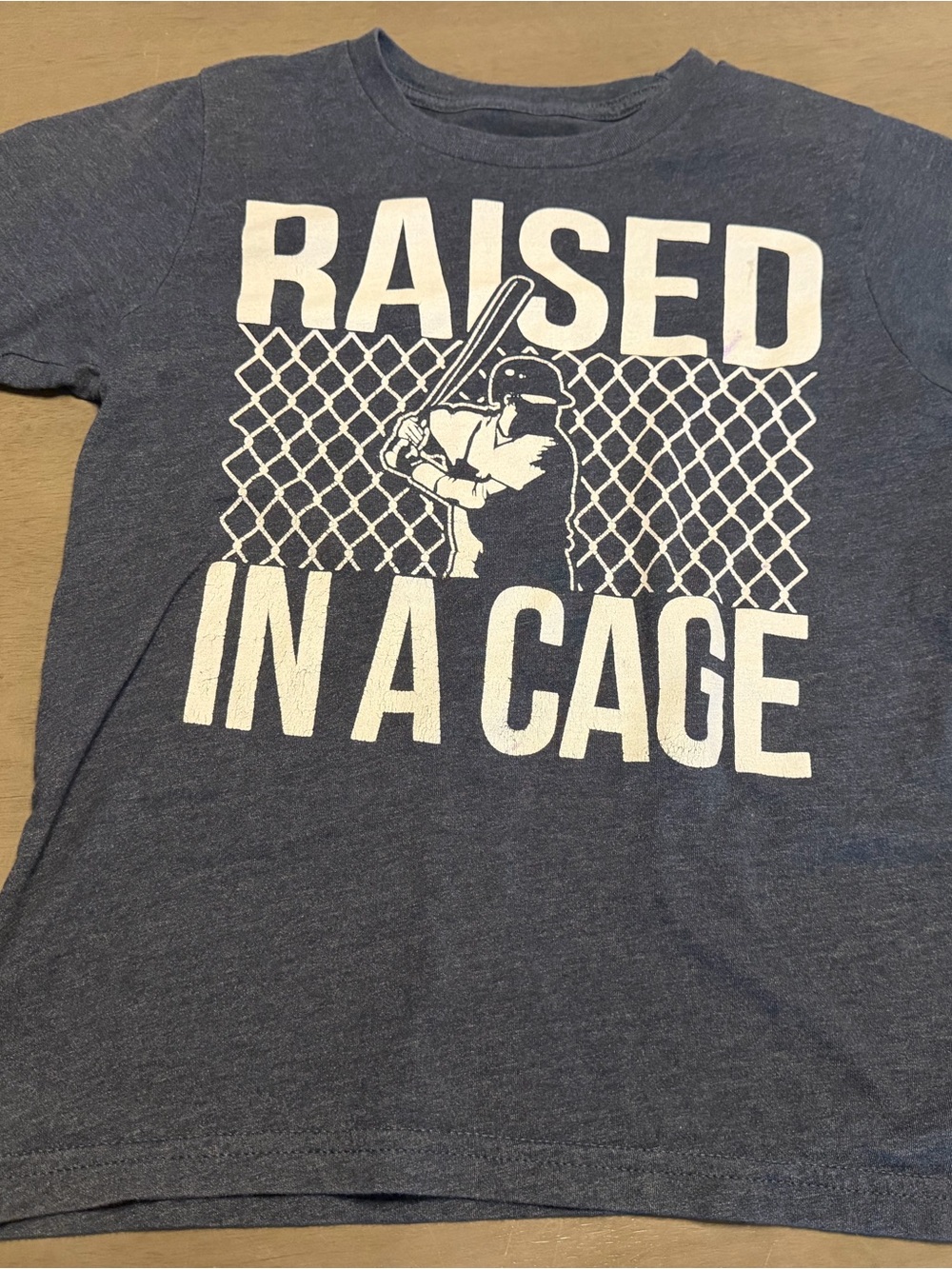 Raised In A Cage Graphic Tee - Grey-Blue Youth Short Sleeve